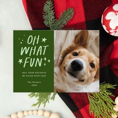 a christmas card with an image of a dog on it and the words, oh what fun may your holidays be filled with fun