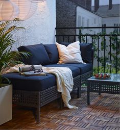 a blue couch sitting on top of a wooden floor next to a potted plant