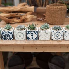 small ceramic planters with succulents are on a table in front of other potted plants