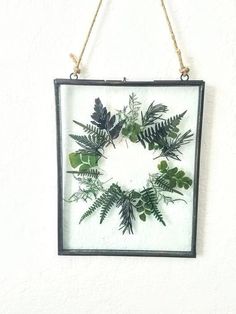 a frame with some plants in it hanging on a wall ornament that is attached to the wall