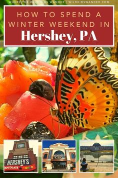 the cover of how to spend a winter weekend in hershey, pa with pictures of butterflies and flowers