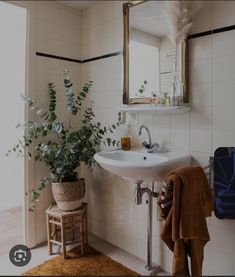 a bathroom with a sink and mirror next to a plant in a pot on the floor