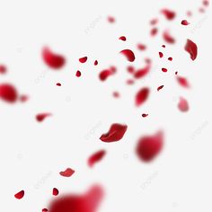 red petals falling down into the air