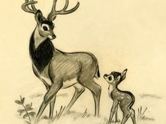 an adult deer standing next to a baby deer