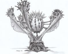 a pencil drawing of a cactus plant with large, spiky flowers on it's head