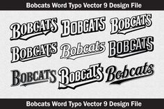 some type of font that can be used to create logos or other designs for different types of