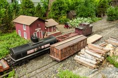 a model train set is shown in the woods