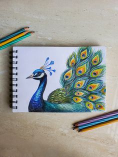 a drawing of a peacock with its feathers spread out and colored pencils next to it