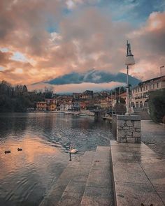 a bird is swimming in the water near some steps and buildings at sunset or dawn