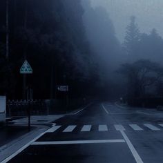 an empty street in the middle of a foggy day with trees on both sides