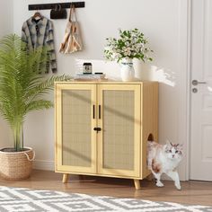 a cat standing in front of a cabinet next to a potted plant and coat rack