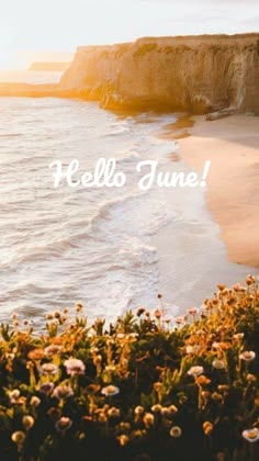 the words hello june are written in front of an ocean and beach with wildflowers