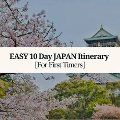 the top ten things to do in japan for first timers, including cherry blossoms