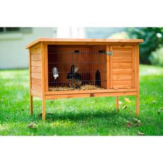 a rabbit in a small wooden cage on the grass with its door open and two rabbits inside