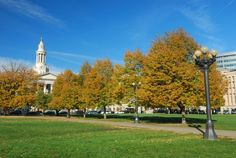 the trees are changing colors in front of the building on the other side of the street