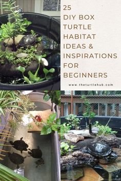 some plants and rocks in a pot with the words 25 diy box habitat ideas & inspirations for beginners