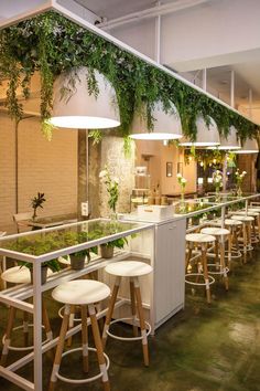 an indoor restaurant with plants growing on the walls and tables in front of it,