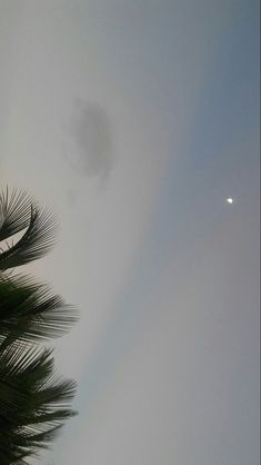 an airplane flying in the sky over some palm trees and a moon on a cloudy day