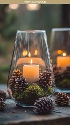 candles and pine cones in glass vases with moss on the bottom, sitting on a table