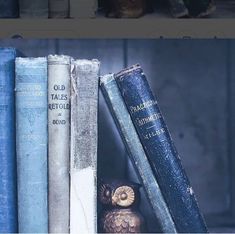 there are two books on the shelf with an owl figurine next to them