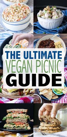 the ultimate vegan picnic guide is here to help you plan and enjoy it all day long