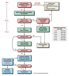 a flow diagram with several different types of information