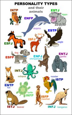 Mbti Animals, Infj Personalidade, Funny Person, Isfj Personality, Intj Personality, Infp Personality