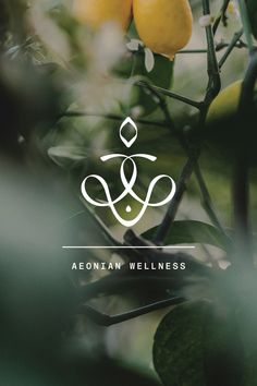 lemons growing on a tree with the words aeontan wellness written in white