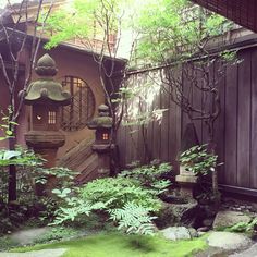 a small garden with rocks and plants in the foreground, next to a wooden building