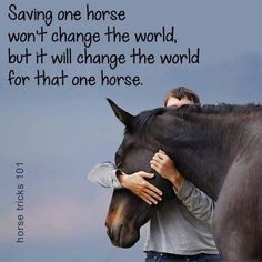 a man is hugging a horse with a quote on it