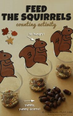 three small cups filled with food and the words feed the squirrels counting activity in each cup