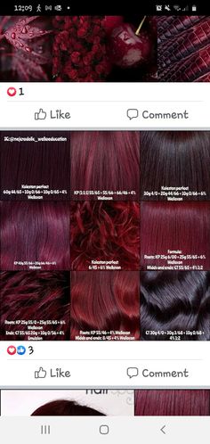 Red Hair Toner Formula, Rusk Hair Color Formulas Red, Raspberry Brunette Hair, Red Hair Color Names, Raspberry Hair Color Formula, Burgundy Color Formulas, Violet Red Hair Color Formula, Red Hair Wella Formula, Chroma Garnet Hair Color Loreal