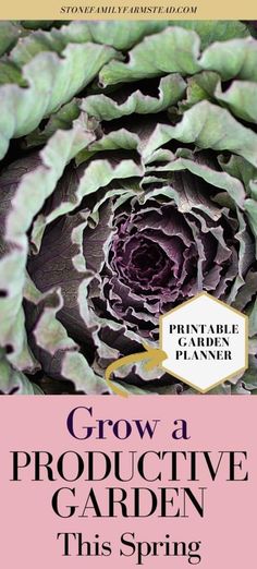 the front cover of a book with an image of a large cabbage plant in it