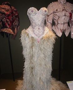 Drag Gown, Vivienne Westwood Corset Dress, Vivienne Westwood Couture, Vivienne Westwood Runway, Vivienne Westwood Corset, Feather Corset, Corset Aesthetic, Crystal Corset, Vivienne Westwood Fashion