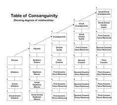 the table of consanquinity is shown in this diagram