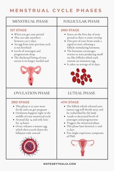 Menstrual Cycle Phases Infographic that includes Menstrual phase Follicular phase, Ovulation phase, and Luteal phase in a 4x4 table with black text and  colourful graphics that represents each phase Phases Infographic, Hormone Nutrition, Cycle Phases, Menstrual Phase, Menstrual Cycle Phases, Period Cycle, Follicle Stimulating Hormone, Low Estrogen Symptoms