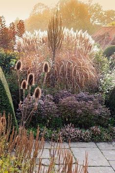 a garden with lots of plants and flowers in the foreground, surrounded by shrubbery