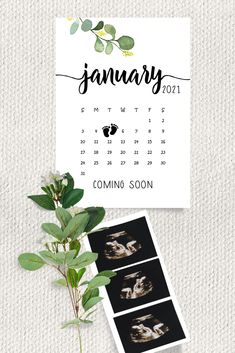 an image of a calendar with baby's feet on it and some greenery next to it