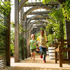 two people running down a walkway in the park with trees and plants on either side