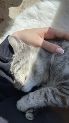 a cat is sleeping on someone's lap with its head resting on their arm