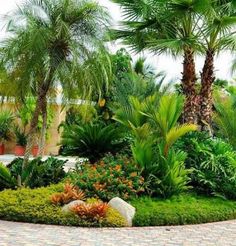 a circular garden with palm trees and plants