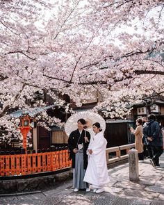 two people are standing under the cherry blossom tree