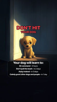 a dog sitting in front of a door with the caption don't hit your dog