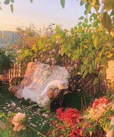 a chair sitting on top of a lush green field covered in flowers and plants next to a wooden bench