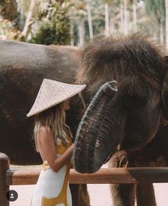 a woman standing next to an elephant wearing a hat