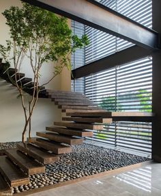 the stairs are made out of wood and stone, with a tree in the middle