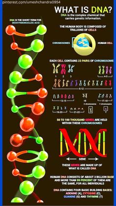 an info poster showing the different types of cell phones and their functions in cellular systems