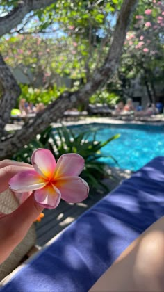 a person holding a flower in front of a swimming pool