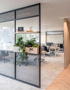 an office with glass walls and plants on the desks