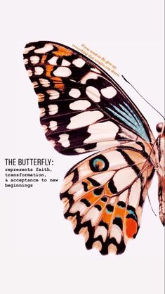 an image of a butterfly with its wings spread out and the words, the butterfly